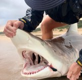 Shark Fishing South Africa Team Vass 220 Unlined Jacket Waterproof Grey Black Edition 4