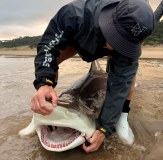 Shark Fishing South Africa Team Vass 220 Unlined Jacket Waterproof Grey Black Edition