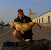 Vass Carp Rising Tee Shirt Fishing Angling Outdoor Casualwear 0510